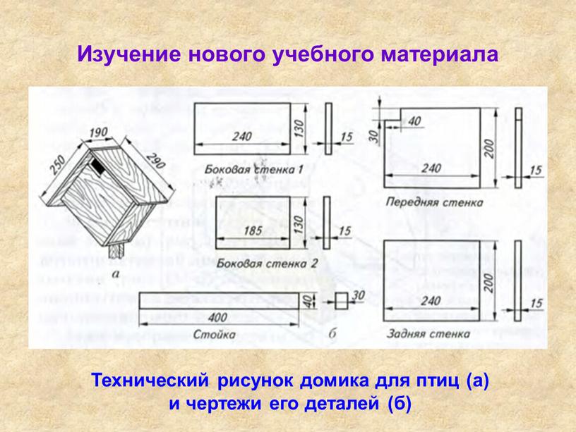 Изучение нового учебного материала