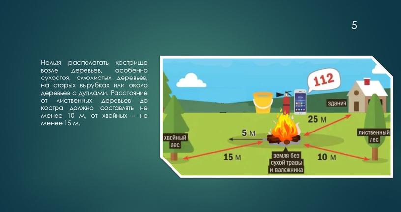 Нельзя располагать кострище возле деревьев, особенно сухостоя, смолистых деревьев, на старых вырубках или около деревьев с дуплами