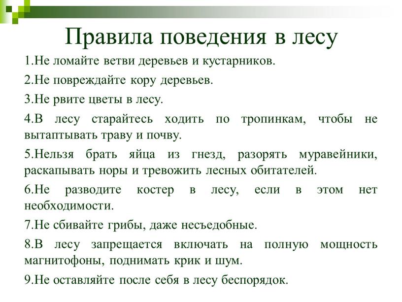 Правила поведения в лесу 1.Не ломайте ветви деревьев и кустарников