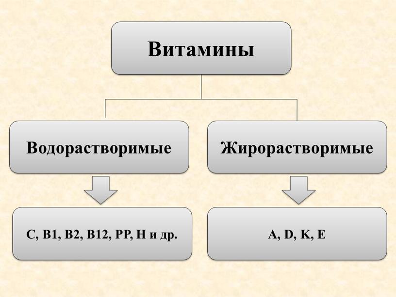 Витамины Водорастворимые Жирорастворимые