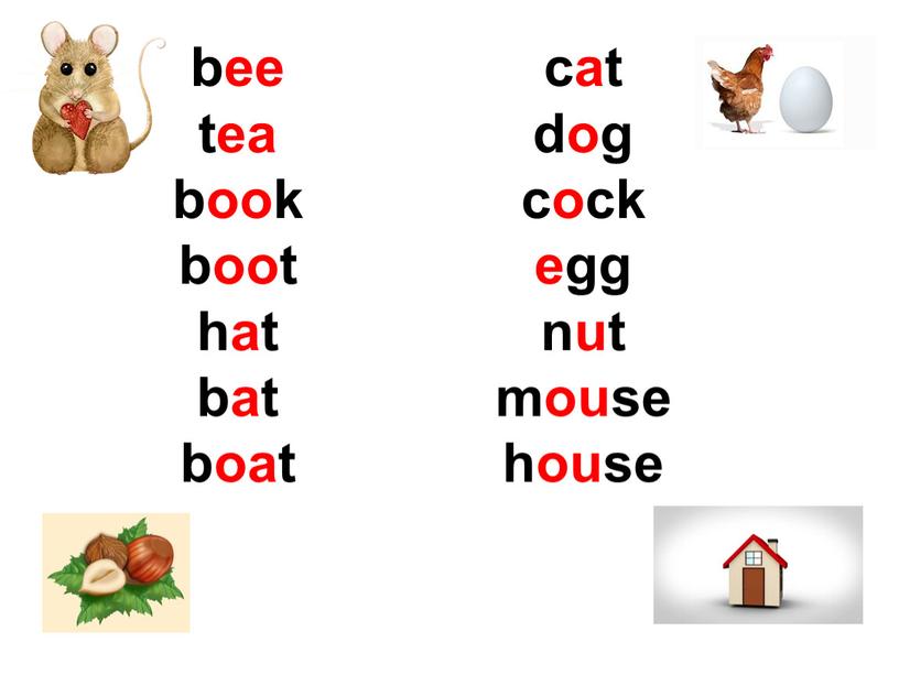 bee tea book boot hat bat boat cat dog cock egg nut mouse house