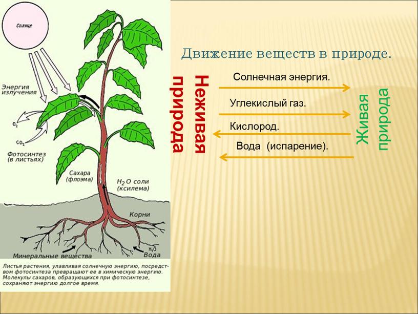 Движение веществ в природе. Неживая природа