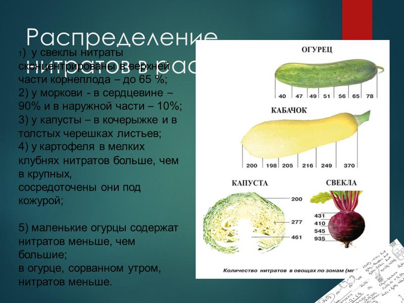Распределение нитратов в растениях 1) у свеклы нитраты сконцентрированы в верхней части корнеплода – до 65 %; 2) у моркови - в сердцевине – 90%…