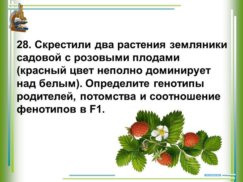 Скрестили два растения земляники садовой с розовыми плодами (красный цвет неполно доминирует над белым)