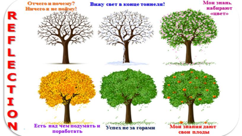 4функция, ее свойства и график_Свойства функции_Презентация_2