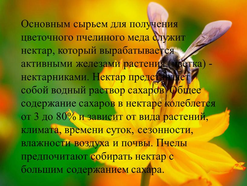 Основным сырьем для получения цветочного пчелиного меда служит нектар, который вырабатывается активными железами растения (цветка) - нектарниками