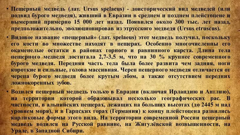 Пеще́рный медве́дь (лат. Ursus spelaeus) - доисторический вид медведей (или подвид бурого медведя), живший в