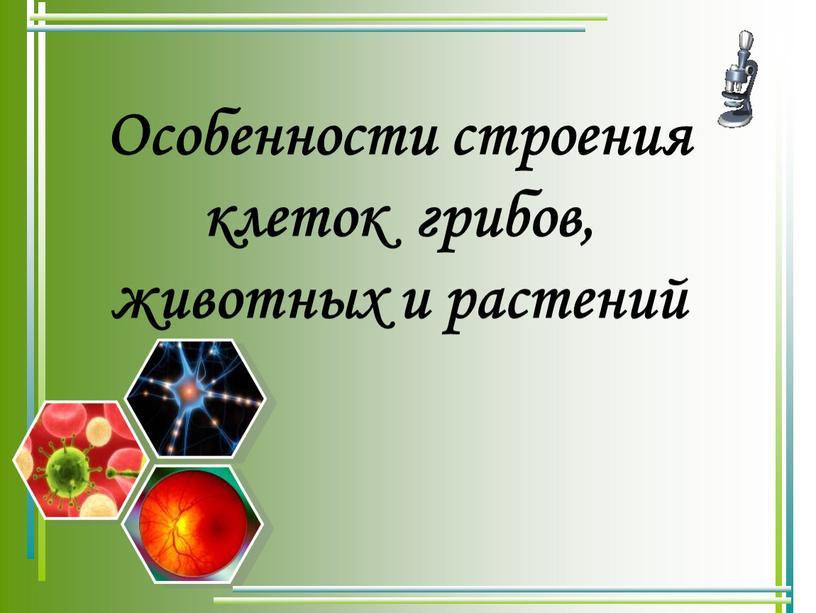 Особенности строения клеток грибов, животных и растений