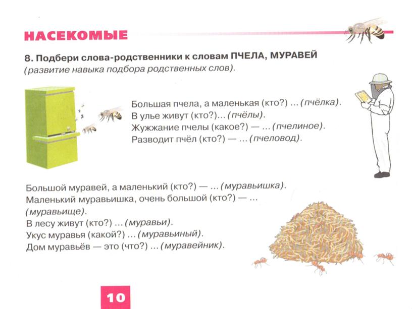 Обучающая презентация "Насекомые" для детей старшего дошкольного возраста