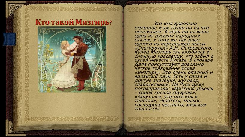 Кто такой Мизгирь? Это имя довольно странное и уж точно ни на что непохожее