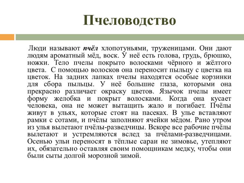 Пчеловодство Люди называют пчёл хлопотуньями, труженицами