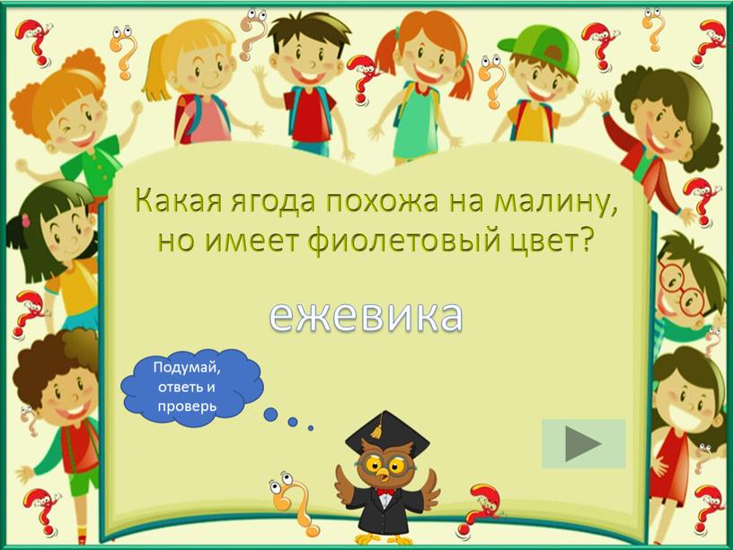 Какая ягода похожа на малину, но имеет фиолетовый цвет? ежевика