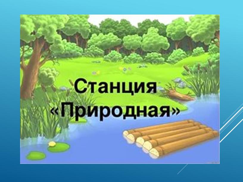 Экологическая станция картинка