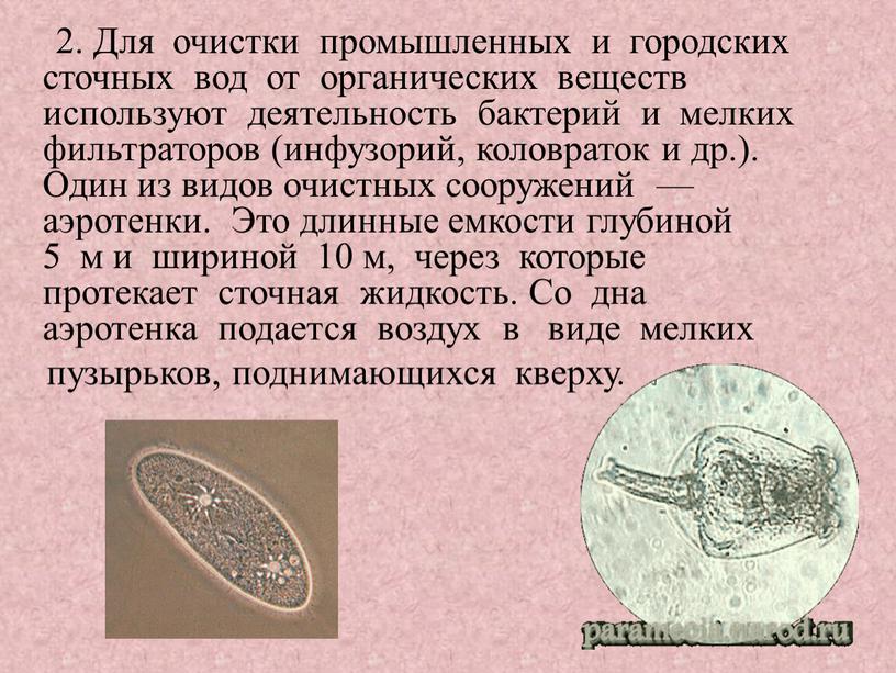 Для очистки промышленных и городских сточных вод от органических веществ используют деятельность бактерий и мелких фильтраторов (инфузорий, коловраток и др