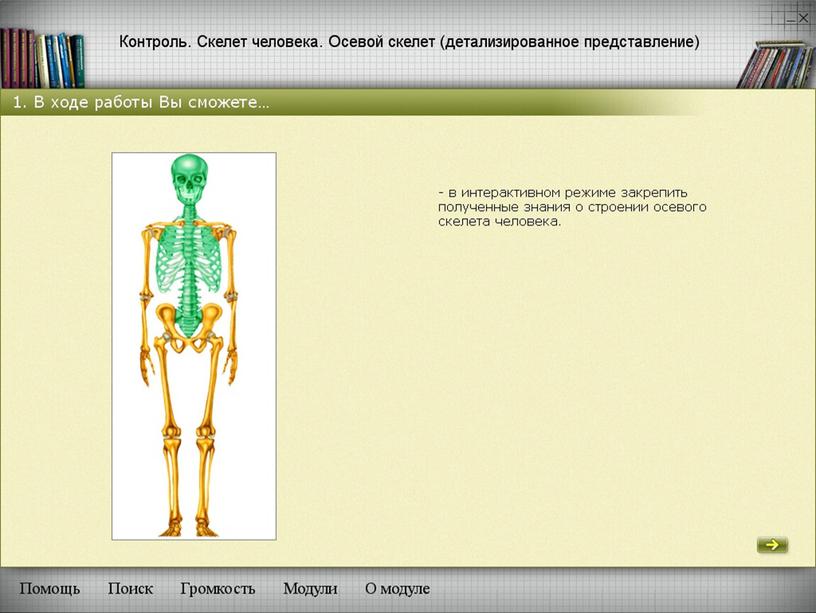 Методы развития познавательной деятельности учащихся