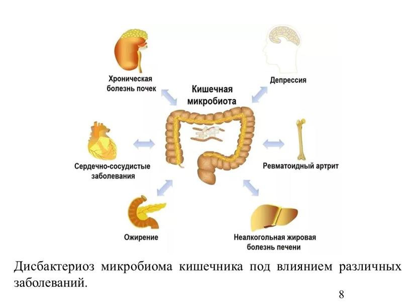 Дисбактериоз микробиома кишечника под влиянием различных заболеваний