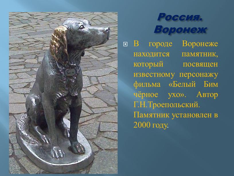 Россия. Воронеж В городе Воронеже находится памятник, который посвящен известному персонажу фильма «Белый