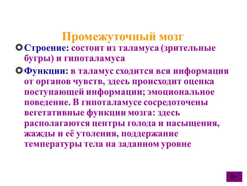 Промежуточный мозг Строение: состоит из таламуса (зрительные бугры) и гипоталамуса