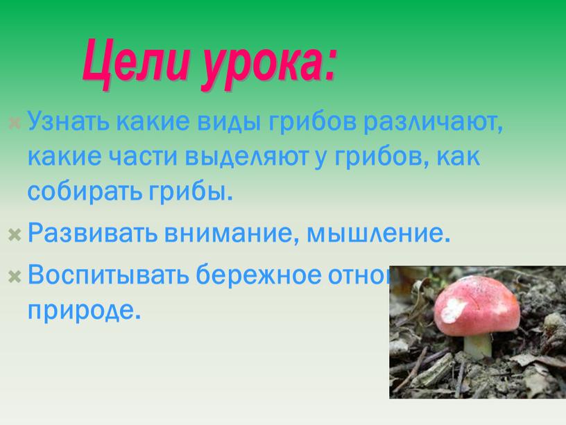 Узнать какие виды грибов различают, какие части выделяют у грибов, как собирать грибы