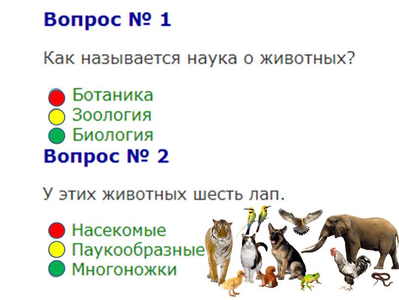 Тестовая работа по теме "Разнообразие животных". Окружающий мир (3 класс)