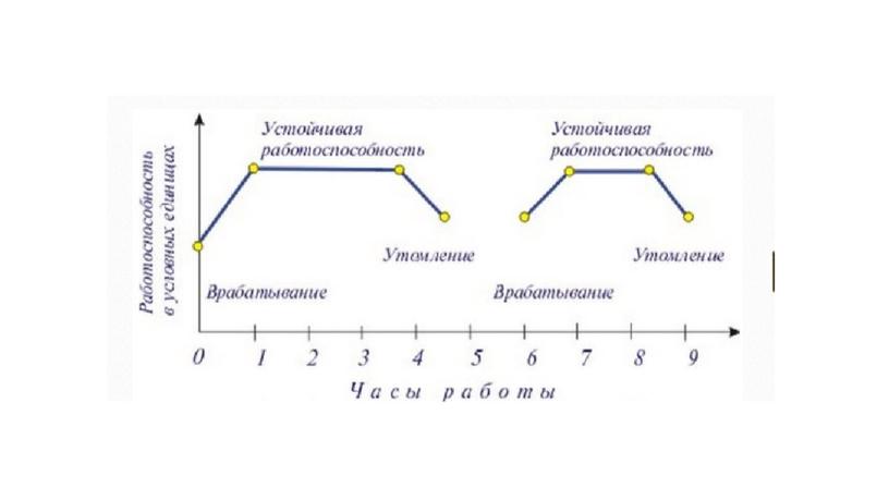 Работоспособность. Режим дня