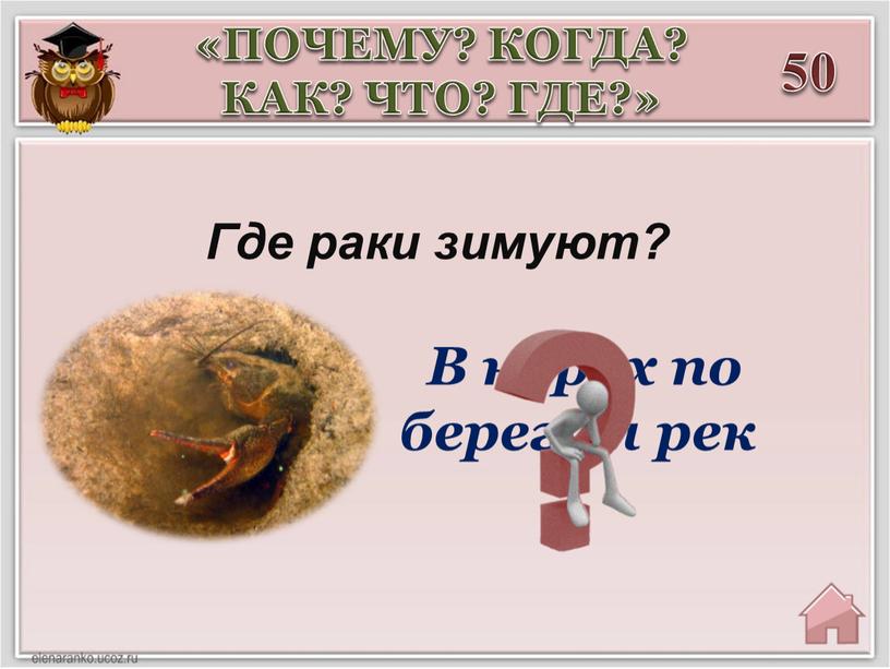 Где рaки зимуют? «ПОЧЕМУ? КОГДА?