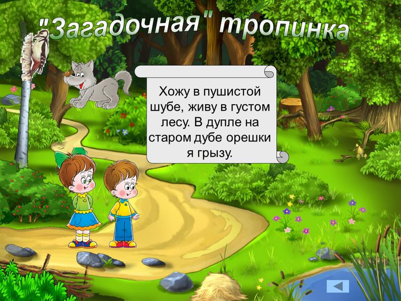 Загадочная" тропинка Хожу в пушистой шубе, живу в густом лесу