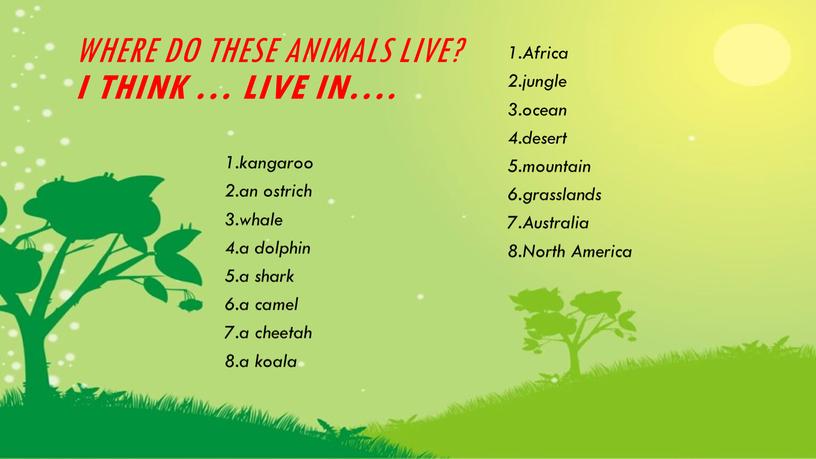 Where do these animals live?