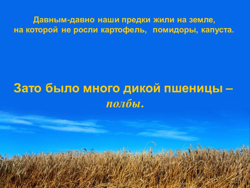 Давным-давно наши предки жили на земле, на которой не росли картофель, помидоры, капуста