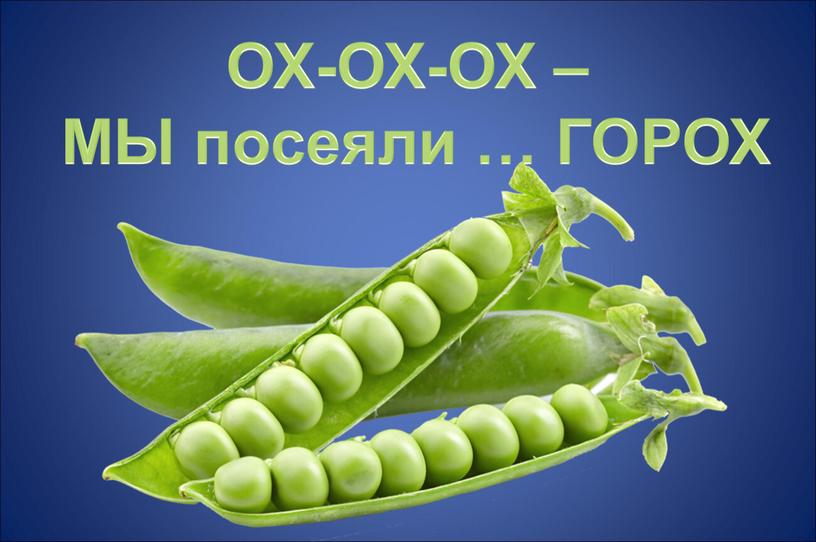 ОХ-ОХ-ОХ – МЫ посеяли … ГОРОХ