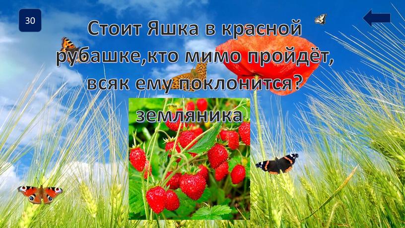 Стоит Яшка в красной рубашке,кто мимо пройдёт, всяк ему поклонится? земляника