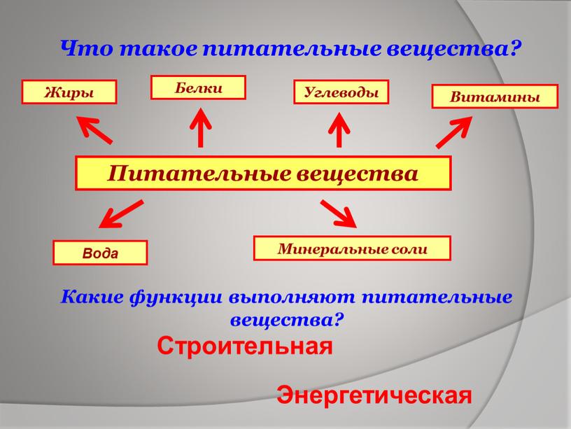 Что такое питательные вещества?