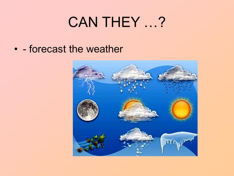 CAN THEY …? - forecast the weather