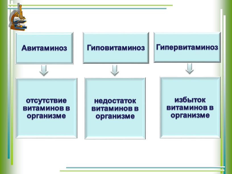 Презентация АТФ