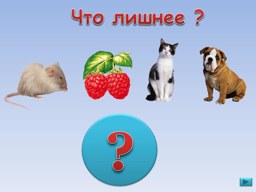 ? Что лишнее ?