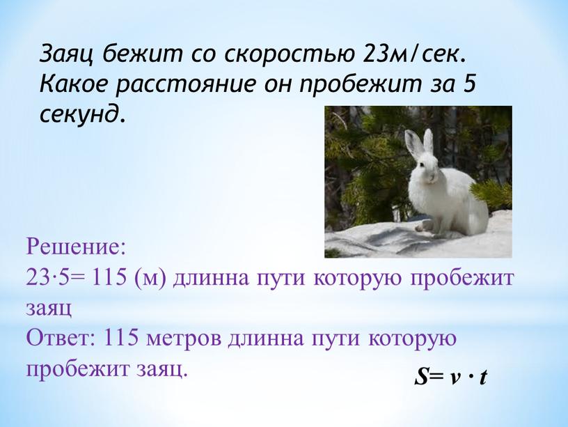 Заяц бежит со скоростью 23м/сек