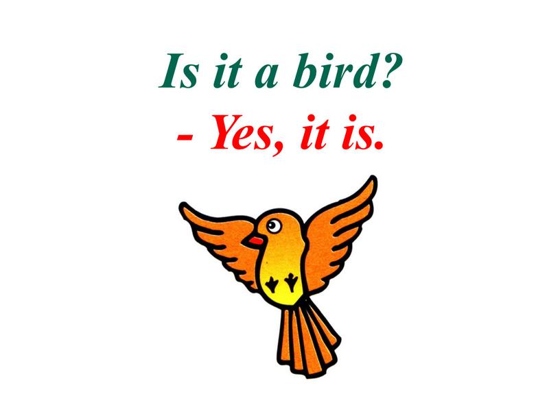 Is it a bird? - Yes, it is.