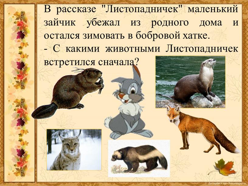 В рассказе "Листопадничек" маленький зайчик убежал из родного дома и остался зимовать в бобровой хатке