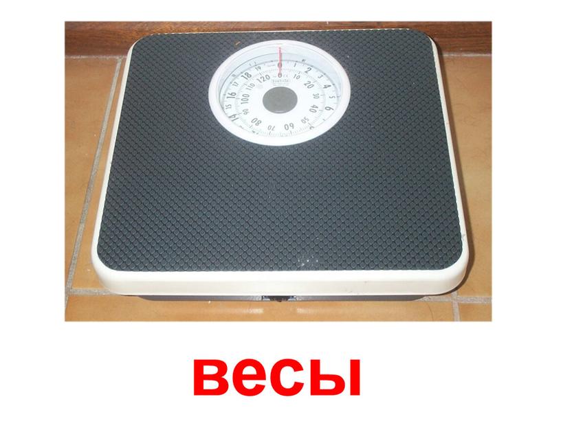 весы