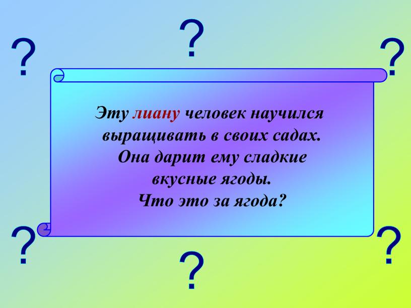 Эту лиану человек научился выращивать в своих садах