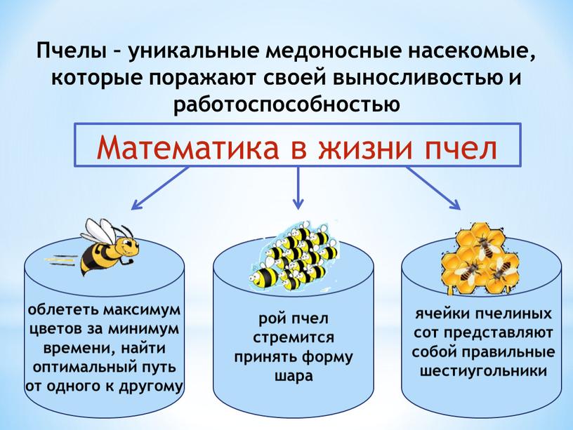 Презентация к исследовательской работе «Математика в жизни пчел»