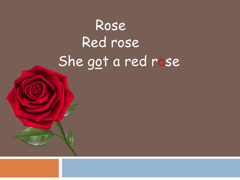 Rose Red rose She got a red rose