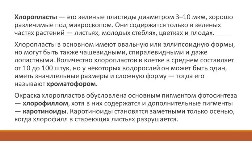 Хлоропласты — это зеленые пластиды диаметром 3–10 мкм, хорошо различимые под микроскопом