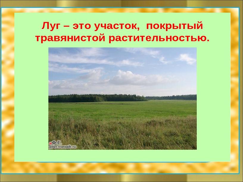 Интегрированный урок математики и окружающего мира в 4 классе «Математическое путешествие на цветочный луг»