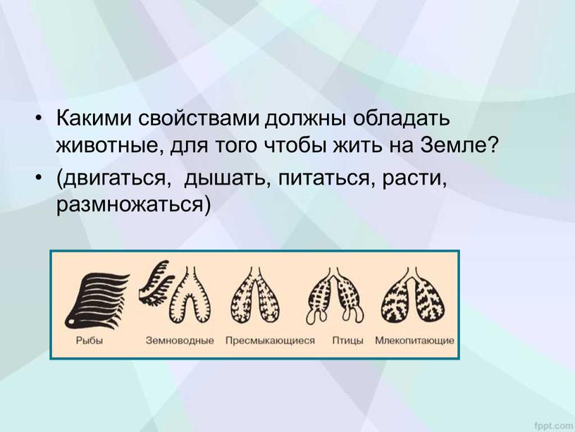 Какими свойствами должны обладать животные, для того чтобы жить на