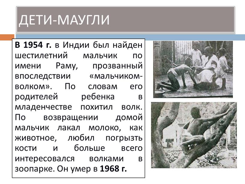 ДЕТИ-МАУГЛИ В 1954 г. в Индии был найден шестилетний мальчик по имени