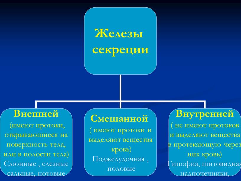 Презентация к уроку биологии "Железы внешней и внутренней секреции"