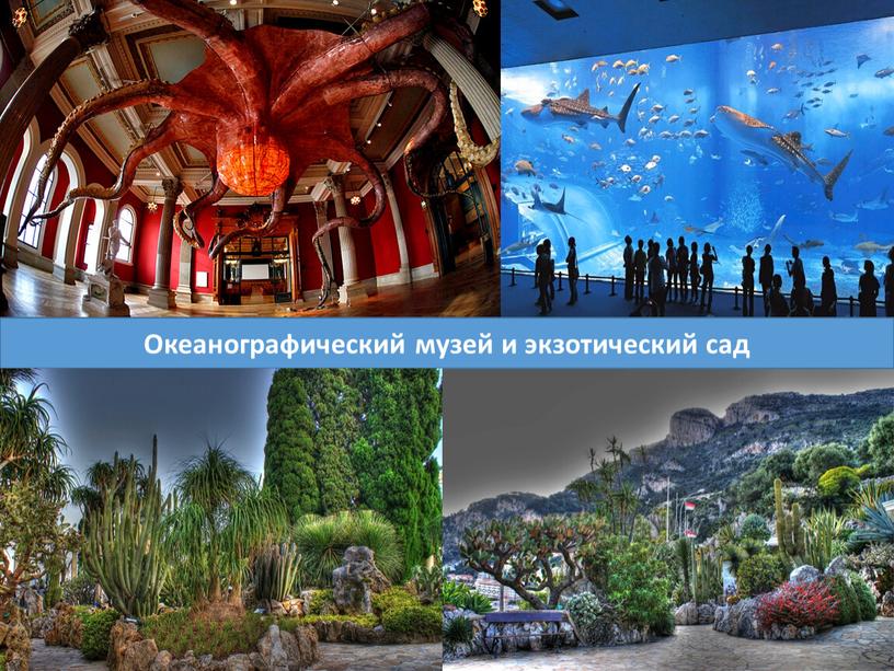 Океанографический музей и экзотический сад