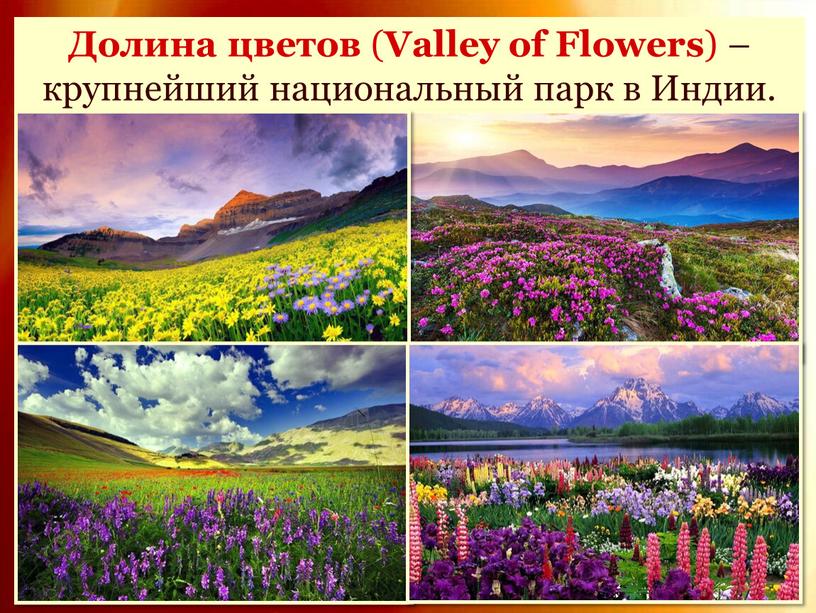 Долина цветов ( Valley of Flowers ) – крупнейший национальный парк в