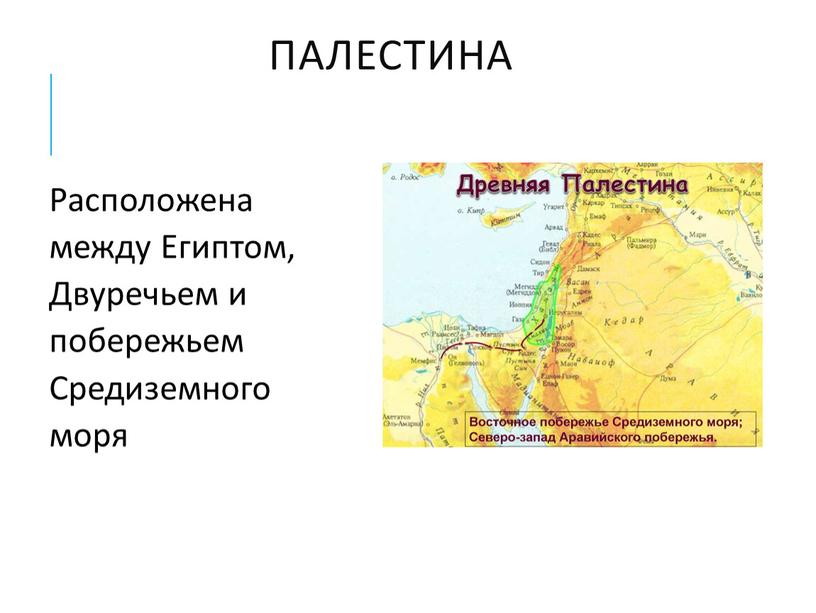 Палестина Расположена между Египтом,